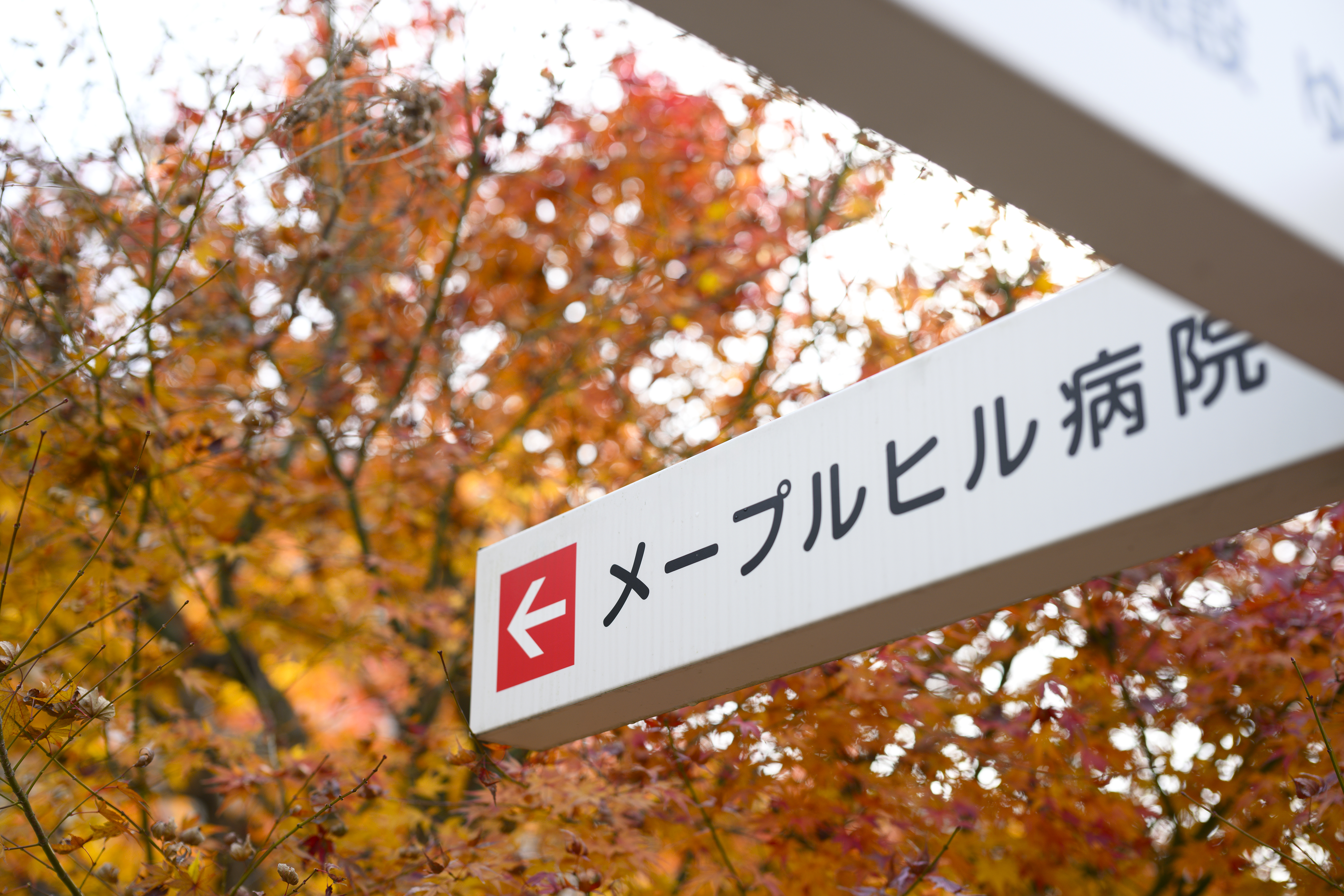 面会に関するお知らせ